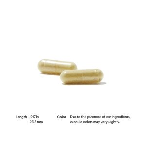 Thorne GI Relief (formerly GI-Encap) Pill Size and Color