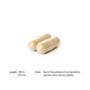 Thorne Green Tea Phytosome Pill Size and Color