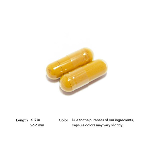 Thorne Liver Cleanse Pill Size and Color