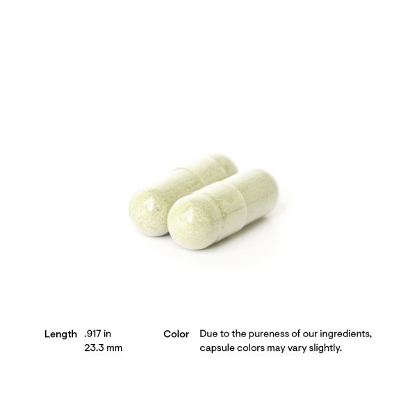 Thorne PharmaGABA-250 Pill Size and Shape