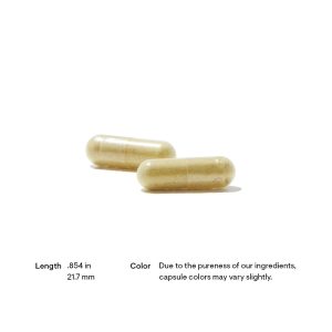 Thorne Phytisone Pill Size and Color