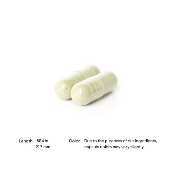 Thorne Plantizyme Pill Size and Color