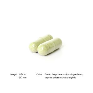 Thorne Quercenase Pill Size and Color