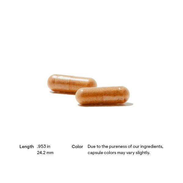 Thorne Red Yeast Rice + CoQ10 Pill Size and Color
