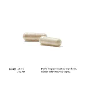 Thorne Thyrocsin Pill Size and Shape